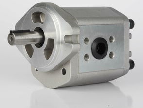 德國(guó)HBS s.r.l齒輪泵