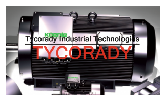 供應原裝進口RINEER馬達