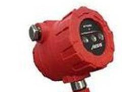 德國Herberts Industrieglas視鏡