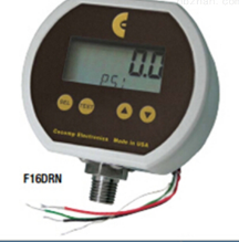 美國 CECOMP壓力表