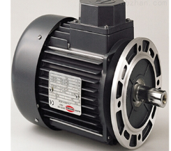 意大利Motori Bonora交流電機(jī)