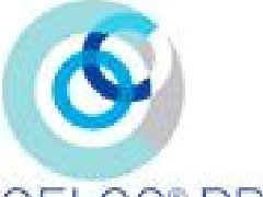 意大利CELCO PROFIL導(dǎo)電滑環(huán)