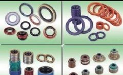 德國(guó)HUNGER活塞密封